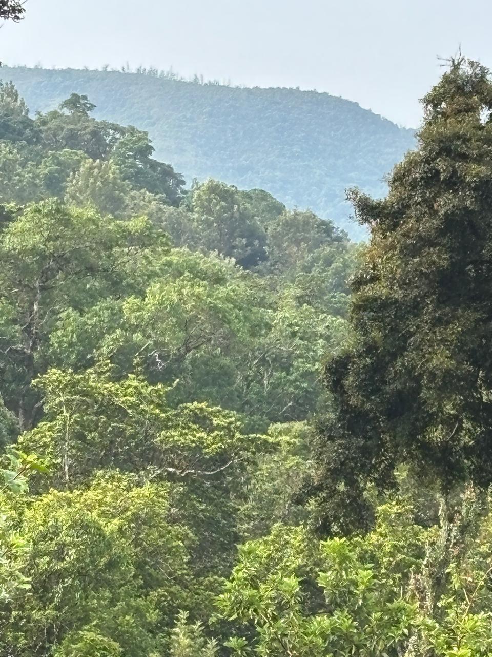 Mountain Views