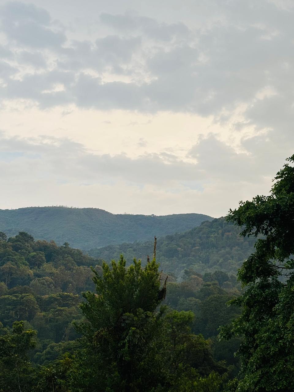 Natural Beauty